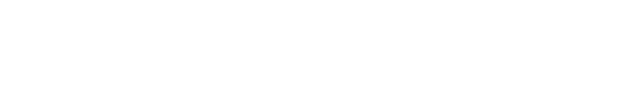 rubbersec-logo-white-normalized-left